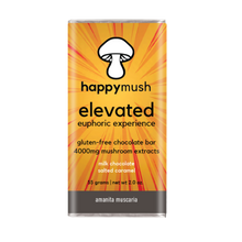 Load image into Gallery viewer, Mushroom Extract Chocolate Bars – Elevated
